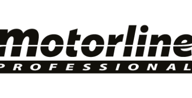 logo motorline